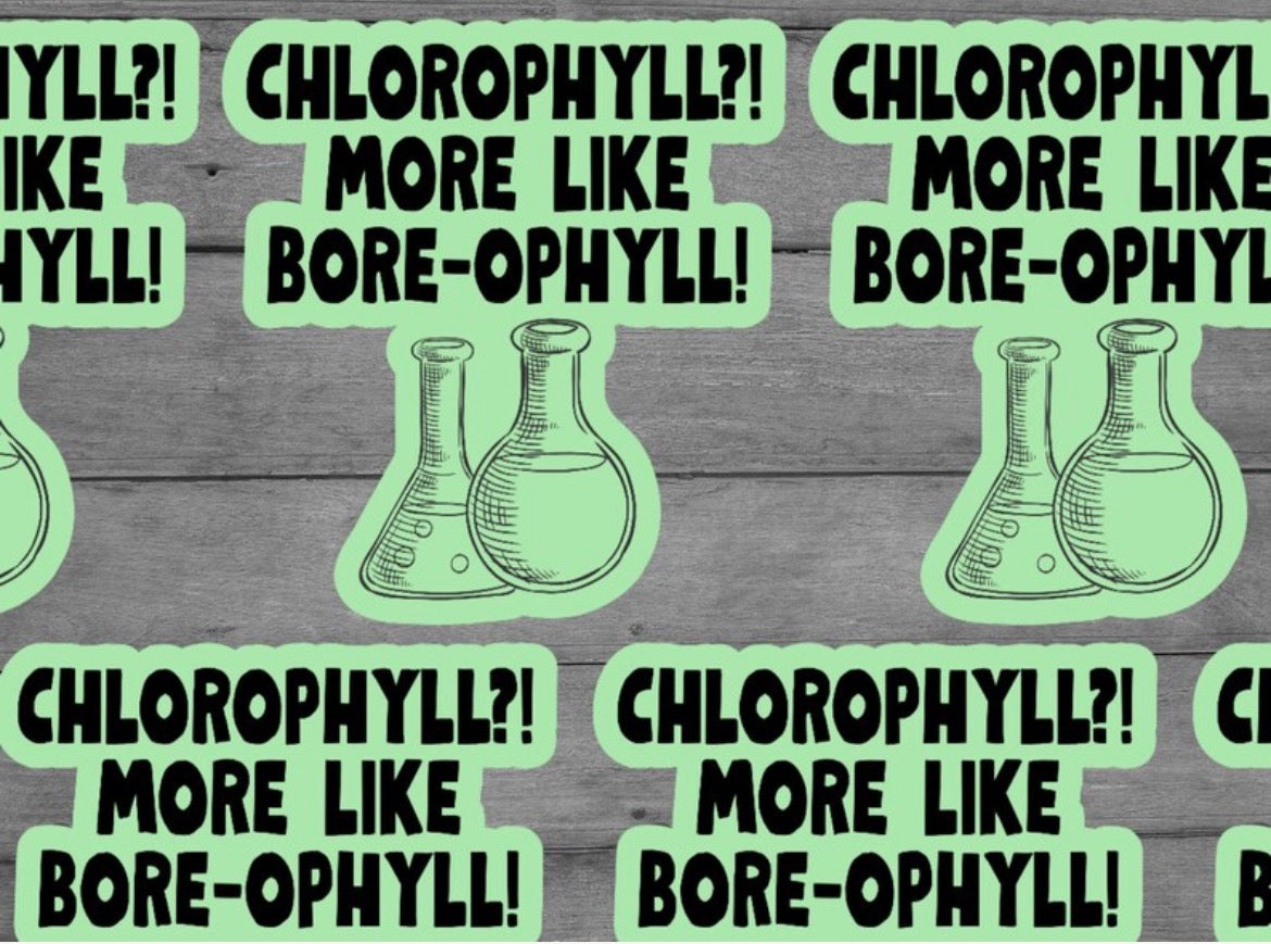 Chlorophyll Vinyl Sticker