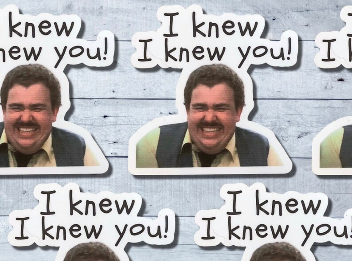 I Knew I Knew You Vinyl Sticker