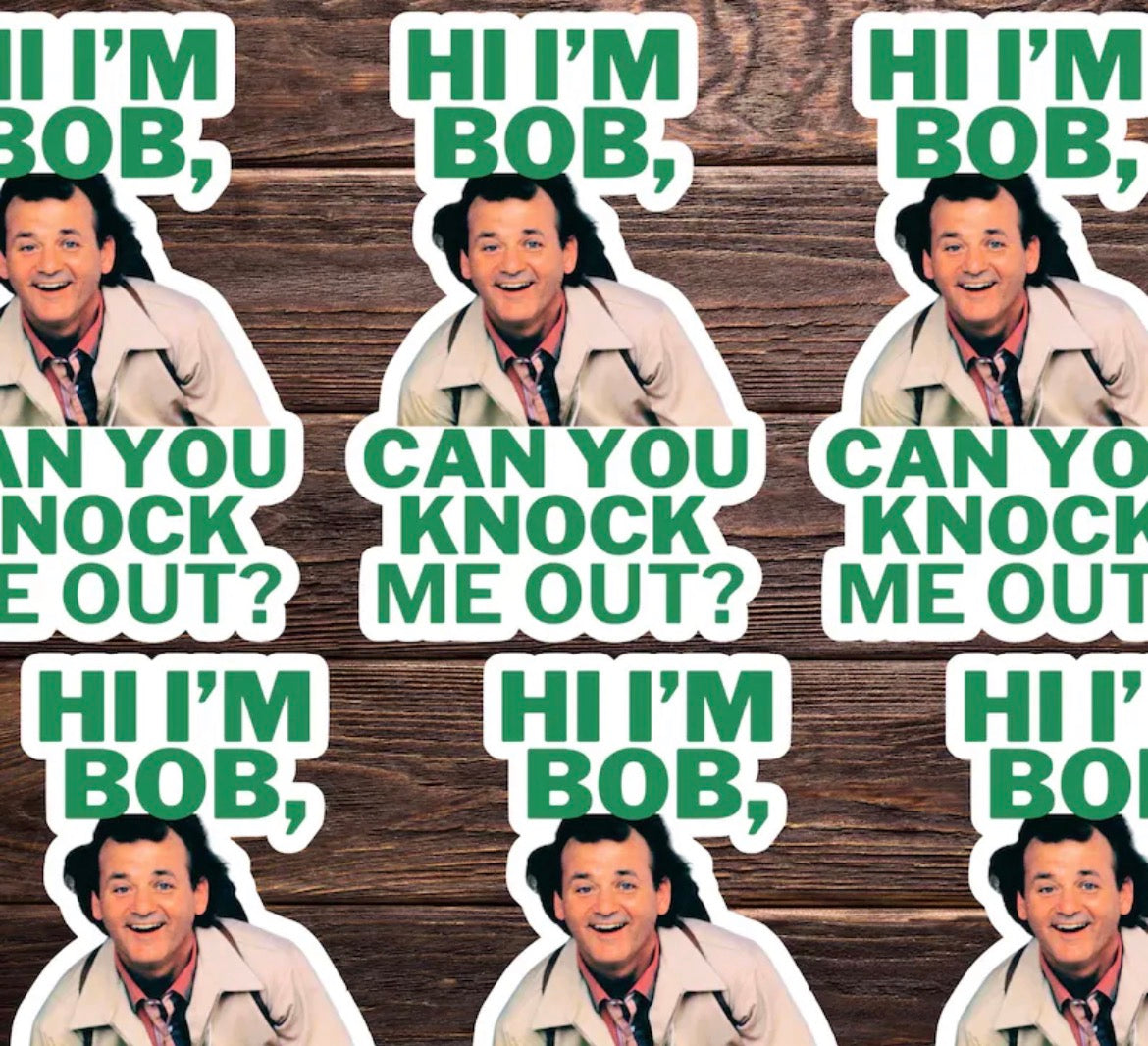 Hi I’m Bob Vinyl Sticker