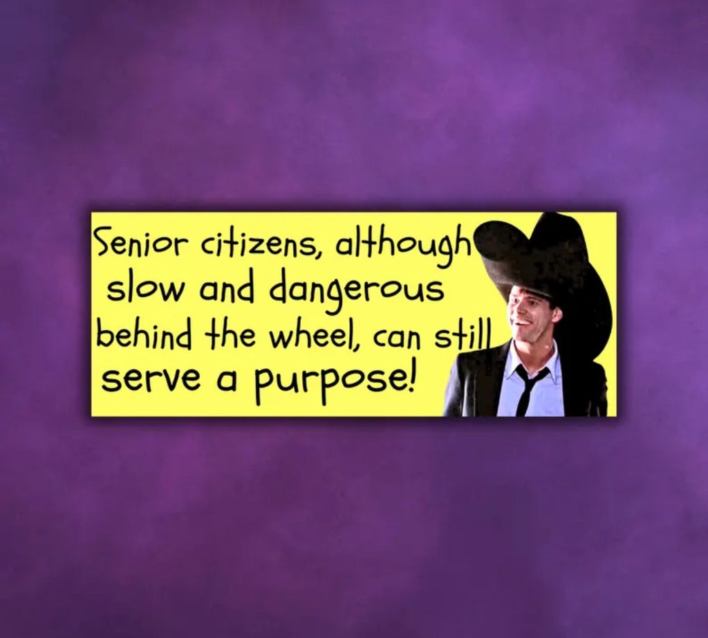 Dumb And Dumber Bumper Sticker