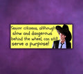 Dumb And Dumber Bumper Sticker