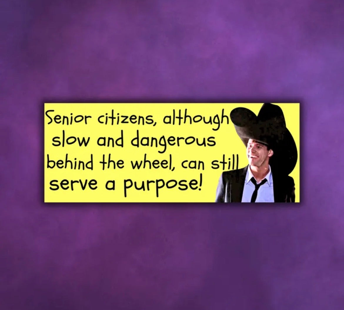 Dumb And Dumber Bumper Sticker