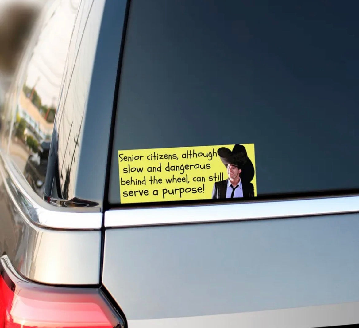 Dumb And Dumber Bumper Sticker