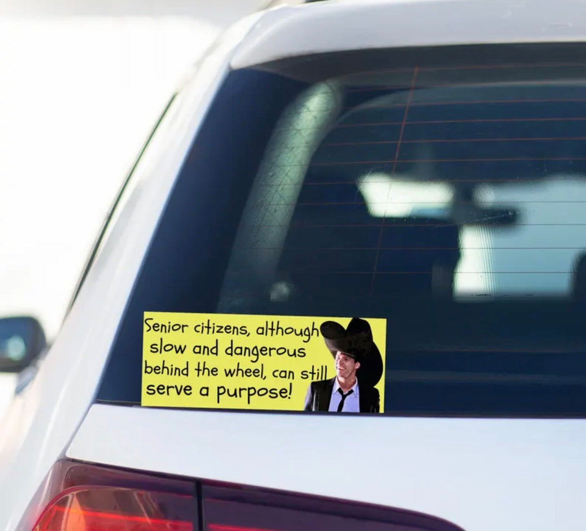 Dumb And Dumber Bumper Sticker