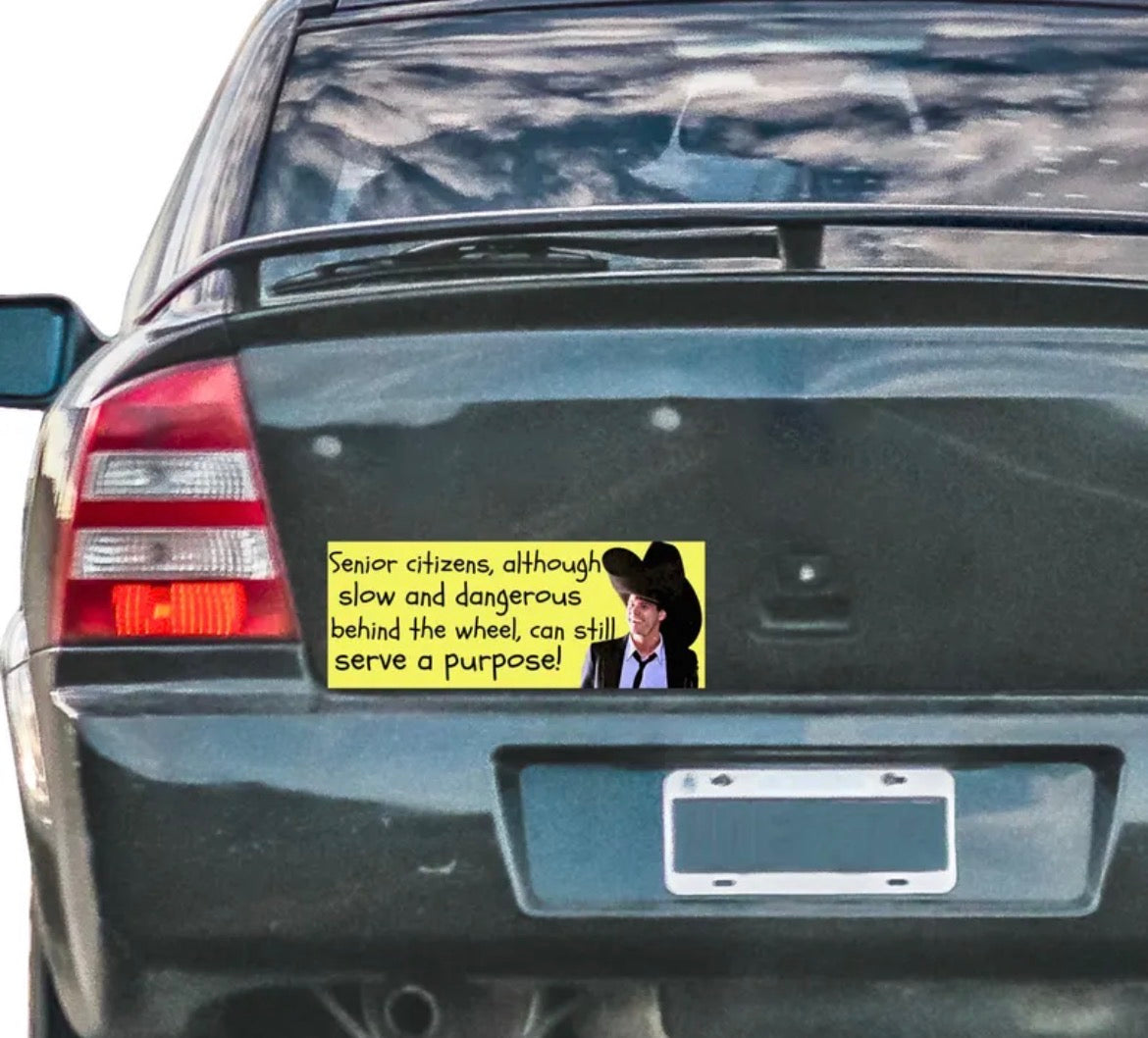 Dumb And Dumber Bumper Sticker