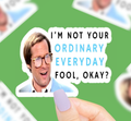 Ordinary Everyday Fool Vinyl Sticker